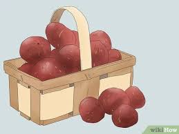The type of figs generally grown in the south do not require pollination. How To Grow Figs 10 Steps With Pictures Wikihow