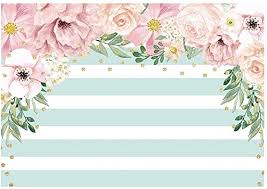 Get it as soon as wed, jul 21. Amazon Com Funnytree 7x5ft Pink And Mint Green Floral Backdrop Stripes Flowers Birthday Party Photography Background Watercolor Gold Sprinkle Bridal Shower Dessert Table Banner Wedding Decorations Camera Photo
