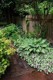 However, as i took on more challenging shade gardens with filtered light and deep shade i became more delighted. 56 Shade Gardening In N Central Texas Ideas Shade Garden Shade Plants Plants