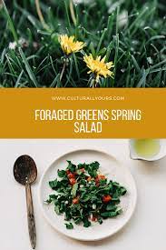 Zero Waste Kitchen Forage And Harvest Spring Greens Culturallyours Spring Salad Other Recipes Dandelion Salad