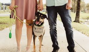 Kyle Gilmer and Nikki Vallandingham's Wedding Website