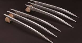 News Entertainment Music Movies Celebrity Wolverine Movie Wolverine Hugh Jackman Wolverine Claws