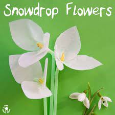 Snowdrop Tissue Paper Flowers Kids Craft Room