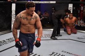 Former NFL player Greg Hardy will return to cage before end of year