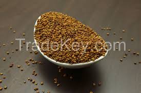 Image result for Calopogonium mucunoides