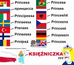 Save and share your meme collection! Polish Word Meme Princess Chido Fajny