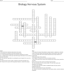 Check spelling or type a new query. Central Nervous System Crossword Wordmint