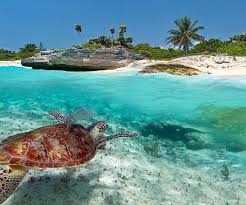 Dreaming Of Your Future Trips Where To Visit In Mexico A Luxury Travel Blog A Luxury Travel Blog While many tourists think to go coastal for a mexican vacation, central mexico offers a great these are are the top tourism destinations in mexico as reported to never stop traveling by the mexico. dreaming of your future trips where to