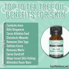 Top 10 Tea Tree Oil Benefits For Skin Tea Tree Oil Benefits Tea Tree Oil For Acne Tea Tree Oil