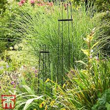 Garden obelisk trellis for climbing plants, rustproof plastic coated metal plant support, garden tower trellis indoor potted plant, tomato plant cage for support rose, vegetable vines(2 pack) 3.9 out of 5 stars 33. Open Top Obelisk Thompson Morgan