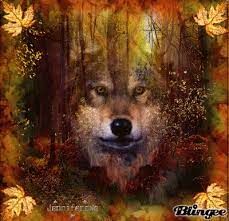 Maybe you would like to learn more about one of these? Blingee Wolf Thanksgiving Gif Autumn Wolf Picture 101835318 Blingee Com Wolf Pictures Wolf Artwork Wolf Photos