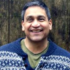 Harbor Seals in Whatcom Creek