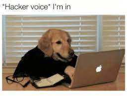 Hacker Voice I M In Meme On Me Me