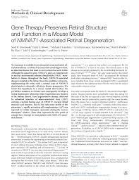 Https Www Cell Com Molecular Therapy Family Methods Pdf S2329 0501 20 30152 2 Pdf