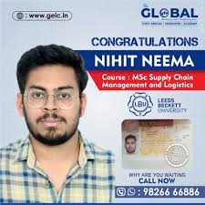 Global Education and Immigration Consultant