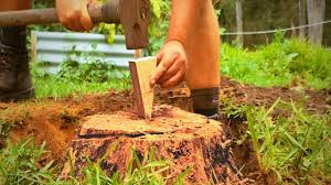 There are lots of options for getting rid of an old tree stump. How To Remove A Tree Stump With A Wedge Youtube