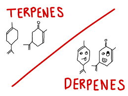 Post All Chemistry Jokes Here Page 48 Chemistry Community