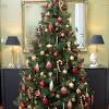 Champagne cocktails are a go to drink for the holidays. Https Encrypted Tbn0 Gstatic Com Images Q Tbn And9gcrfcwlqewph7boy3w3qwoav2aixgmzeteordulinf8 Usqp Cau