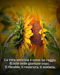 Augura una buona giornata dell'amicizia a tutte le tue amiche e fai sentire loro il tuo affetto, con questa immagine deliziosa. á… Le Migliori Immagini Di Amicizia Per Whatsapp 34 Top Immagini