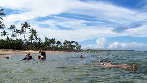We did not find results for: Barra Grande E Marau Vou Sem Guia