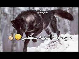 اجمل اشعار حزينه جدا 2021 شعر عراقي حزين حالات واتساب 2021 مقاطع حزينة اشعار حزينه2021 youtube in 2021