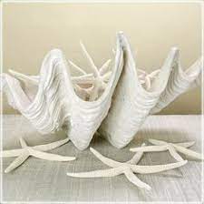 You can copy/paste the url below into the. 13 Clam Shell Decor Ideas Shell Decor Clam Shell Giant Clam