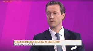 Graz university of technology, institute of process and particle engineering (6690). Blumel Versteht Bei Milborn Unmut Uber Schmid Chats Vor Allem Bei Thomas Schmid Fernsehkritik Derstandard De Kultur