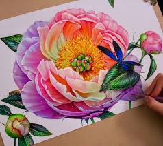 Perfect Color Pencil Drawing Of Flowers Motive Done By Artist Morgan Davidson Pencil Drawings Of Flowers Flower Drawing Peony Drawing