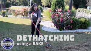 Hydroseeding is another option to try and boost your lawn. Dethatching My Lawn With A Rake And Reseeding Youtube