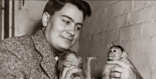 StevenWarRan: October 2013