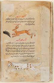 pin on persian mughal indian art