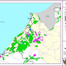 The land and survey department has introduced its native customary rights (ncr) kit in efforts to empower the application process for the surveying of individual lots under the second stage of the new ncr initiative. Land Alienated For Oil Palm Estates In Miri Bintulu Region Sarawak By Download Scientific Diagram