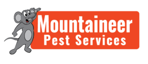 Ants, bed advanced pest solutions has been providing quality pest control service to the quad cities and its surrounding communities since 2001. Pest Control Companies Near You Mountaineer Pest Control Csra