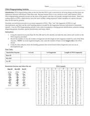 Worksheets are dna finger ing paternity work, dna finger ing lab student work, lab. Answers Dna Fingerprinting Activity Answer Key Dna Fingerprinting Activity Introduction Dna Fingerprinting Relies On The Fact That The Dna Code Is Course Hero