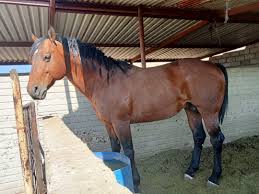 Martín Knotty @knottymartin - Twitter Profile | Sotwe