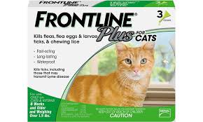 Up To 68 Off On Frontline Plus For Cats Kit Groupon