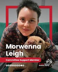 Help out your local candidate by volunteering