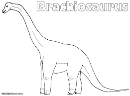 Silly dinosaurs coloring pages funny dinosaur clip art library. Long Neck Dinosaur Colouring Novocom Top