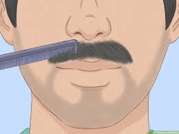 Partial correction of moustache can be done with around 300 follicles. How To Grow A Mustache 11 Steps With Pictures Wikihow