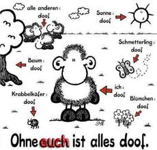Ohne Euch Ist Alles Doof Valentinstag Spruche Anti Valentinstag Spruche Lustige Valentinstag Spruche