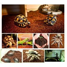 Komodo Rainforest Substrate 6l – tropické podloží | INVITAL  Rostlinna-akvaria.cz