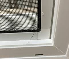 Caulking over weep holes is a big mistake. Weep Deutsch Rssmix Info