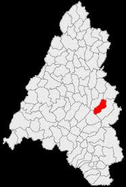 Vinde casa cu un anunt gratuit sau contacteaza direct proprietarul sau agentia, daca vrei sa iti cumperi casa. È™uncuiuÈ™ Wikipedia