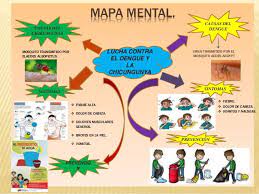 Pin Em Prevencion