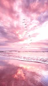 Check spelling or type a new query. Pink Beach Aesthetic Wallpapers Top Free Pink Beach Aesthetic Backgrounds Wallpaperaccess
