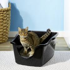 The spruce / camryn rabideau. The 9 Best Cat Litter Boxes Of 2021