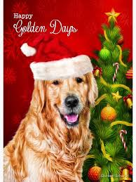 Golden Retriever Dog in a Santa Hat Christmas Tree" Greeting Card for Sale  by Doreen Erhardt