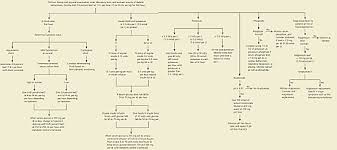 Diabetic Ketoacidosis American Family Physician