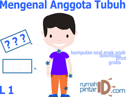 Kami memiliki database lebih dari 122 ribu. Ketahui 10 Kunci Jawaban Tts Pintar 116 Paling Dicari