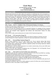 Wayne Geistman Resume